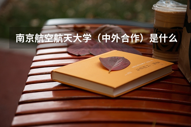 南京航空航天大学（中外合作）是什么意思？中外合作与正宗的南航有什么区别？