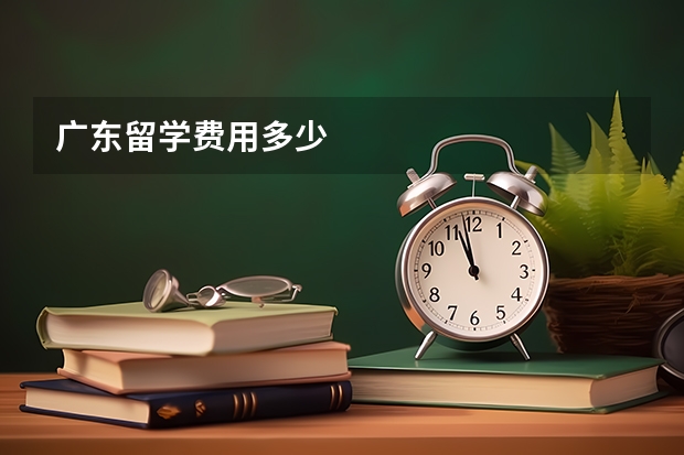 广东留学费用多少