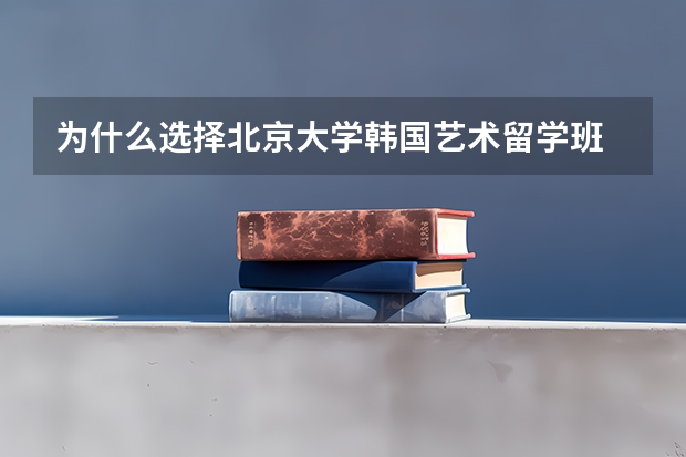 为什么选择北京大学韩国艺术留学班