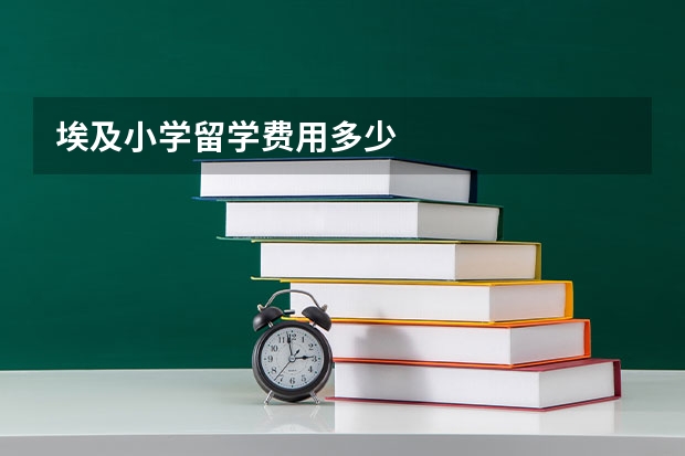 埃及小学留学费用多少