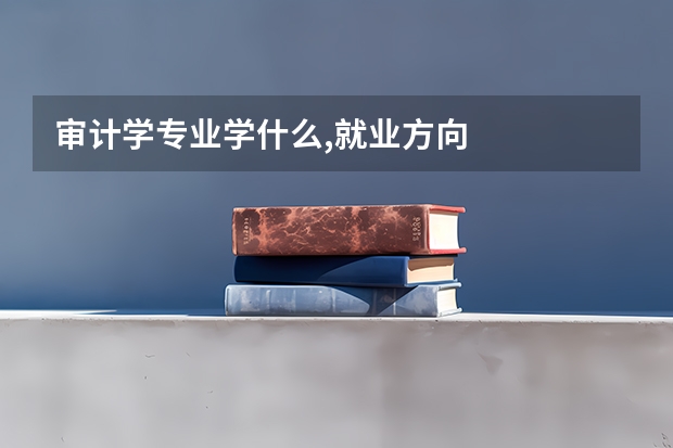 审计学专业学什么,就业方向