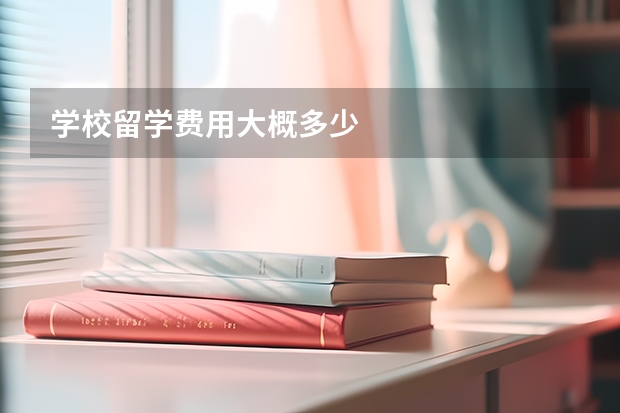 学校留学费用大概多少