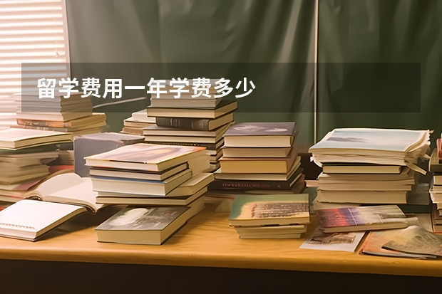 留学费用一年学费多少