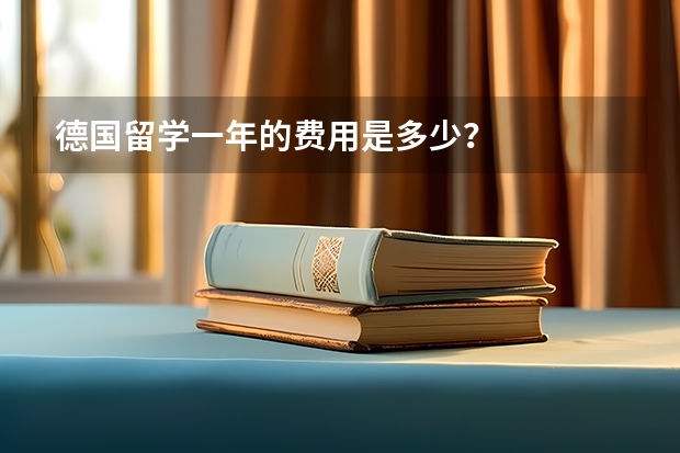 德国留学一年的费用是多少？