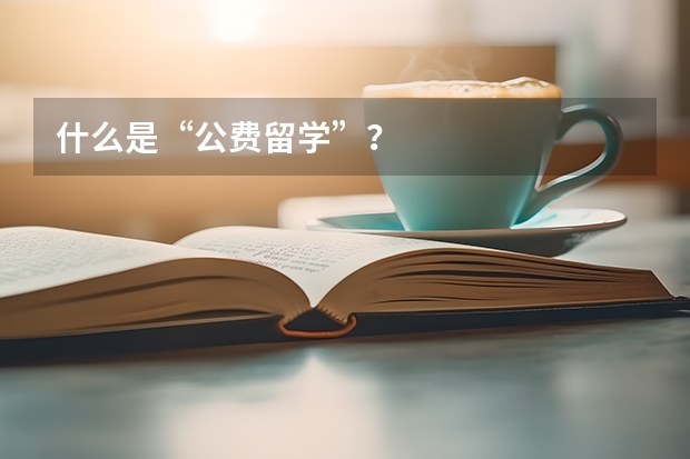 什么是“公费留学”？