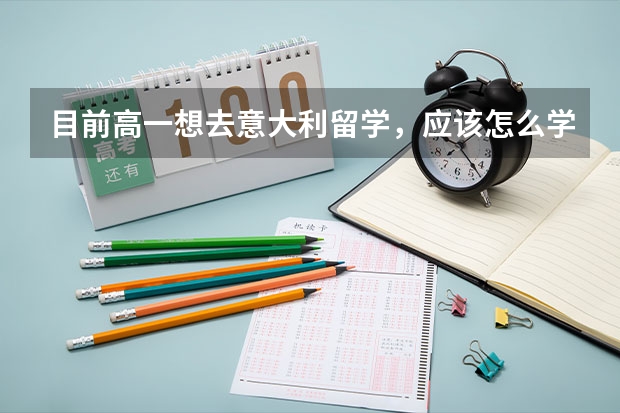 目前高一想去意大利留学，应该怎么学习语言？