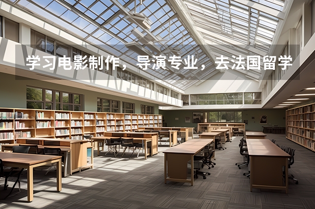 学习电影制作，导演专业，去法国留学好，还是英国留学 我想到美国读艺术专业本科