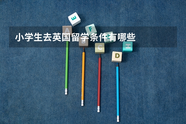 小学生去英国留学条件有哪些