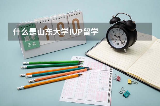 什么是山东大学IUP留学