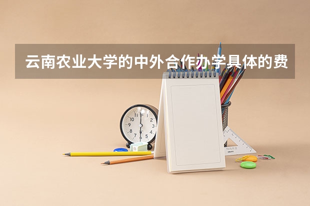 云南农业大学的中外合作办学具体的费用多少？