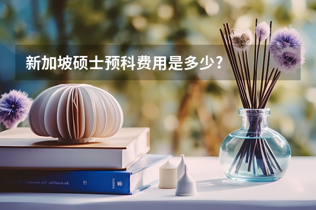 新加坡硕士预科费用是多少?