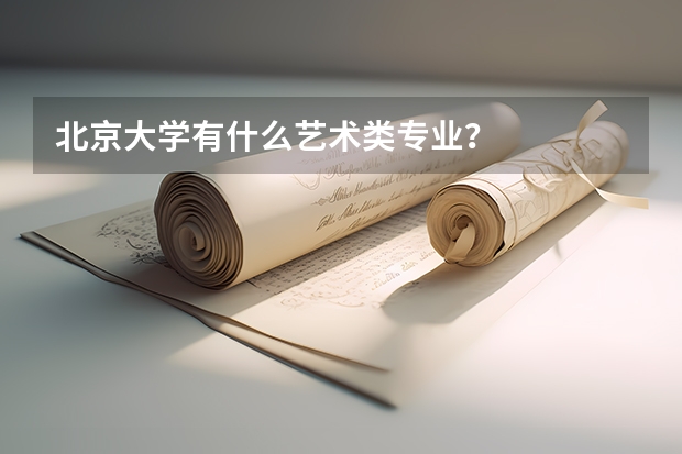 北京大学有什么艺术类专业？