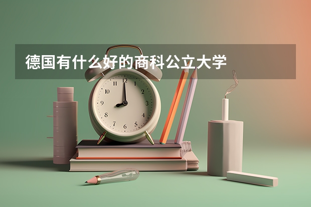 德国有什么好的商科公立大学