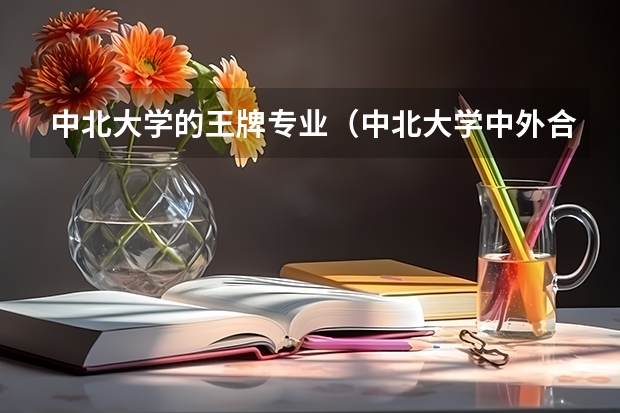 中北大学的王牌专业（中北大学中外合作办学专业分数线）