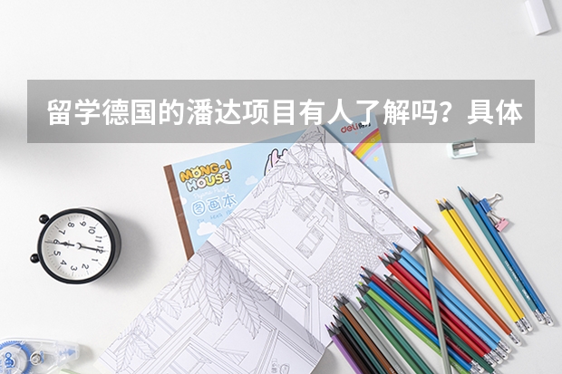 留学德国的潘达项目有人了解吗？具体费用和流程是什么样子的？