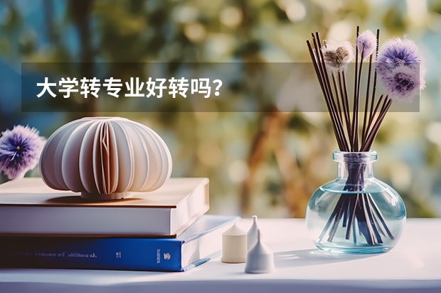 大学转专业好转吗？