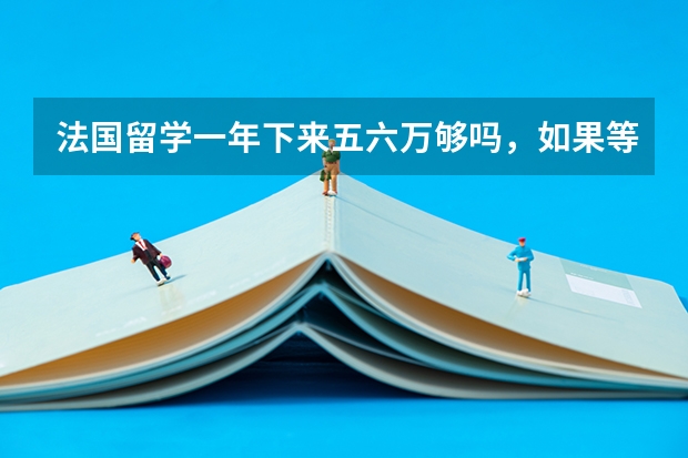 法国留学一年下来五六万够吗，如果等适应了之后出去兼职是不是能承担下来