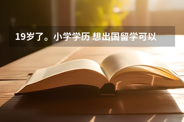 19岁了。小学学历 想出国留学可以吗？