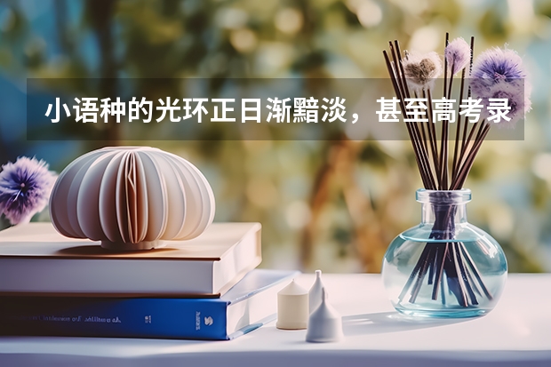 小语种的光环正日渐黯淡,甚至高考录取分数线都在逐年下滑。小语种,怎么走到了被00后们抛弃的境地?