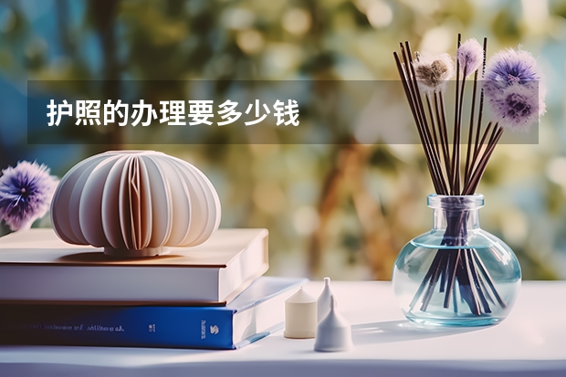 护照的办理要多少钱