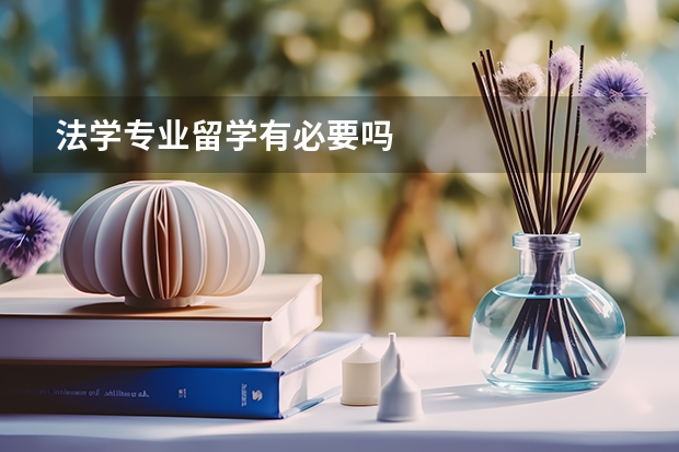 法学专业留学有必要吗