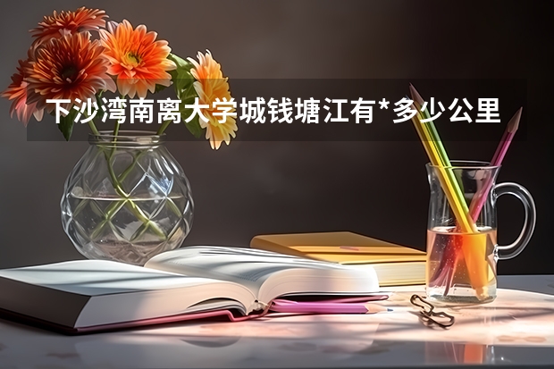 下沙湾南离大学城钱塘江有*多少公里