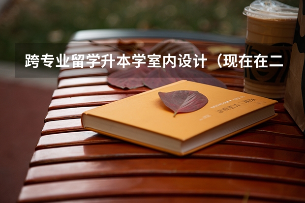 跨专业留学升本学室内设计（现在在二本院校上大二，环境设计专业，想去法国设计留学，但父母不支持，可以跨专业申请法国产品设计？）