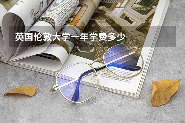 英国伦敦大学一年学费多少