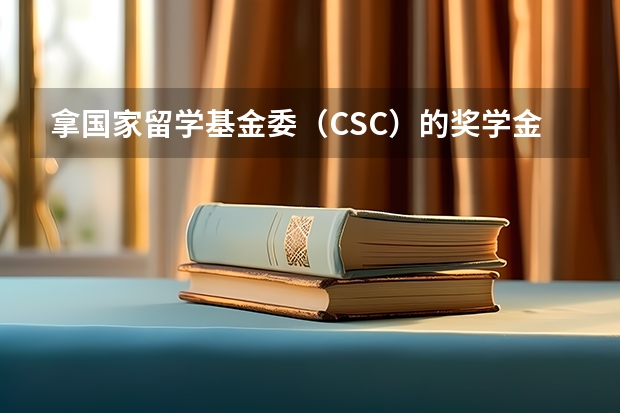 拿国家留学基金委（CSC）的奖学金出国留学是一种什么样的体验？