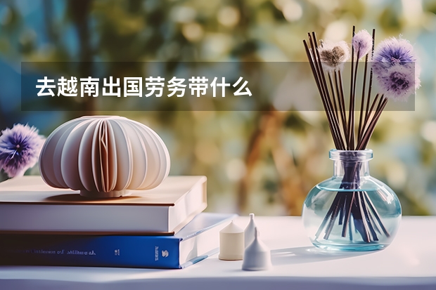 去越南出国劳务带什么