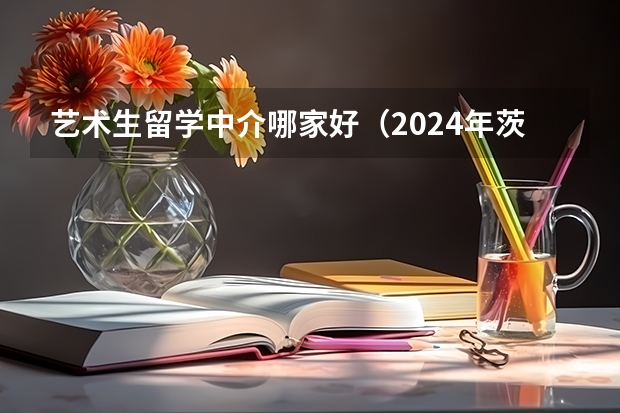 艺术生留学中介哪家好（2024年茨城大学留学生要项）