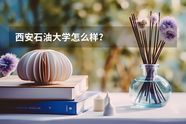 西安石油大学怎么样？