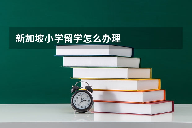 新加坡小学留学怎么办理