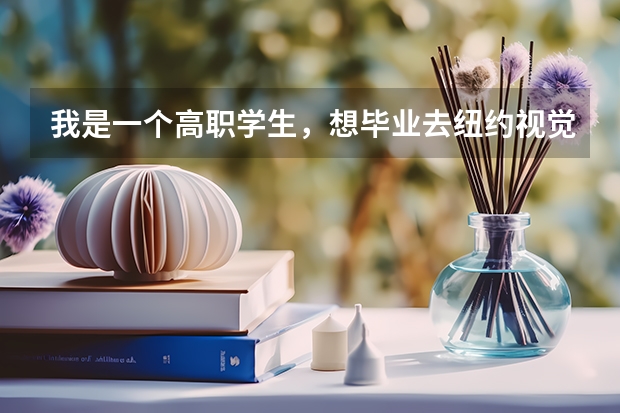 我是一个高职学生,想毕业去纽约视觉艺术学院留学,在申请留学等方面我需要做些什么,还有申请条件怎么样