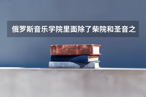 俄罗斯音乐学院里面除了柴院和圣音之外，哪个学校声乐专业最好？