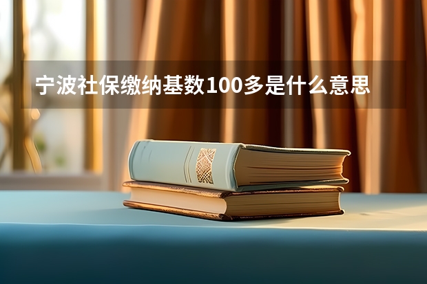 宁波社保缴纳基数100多是什么意思