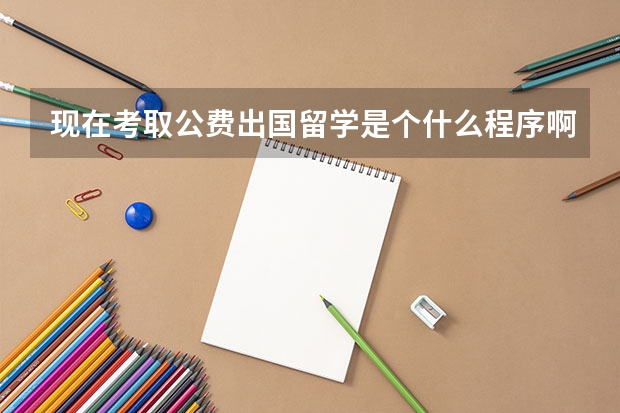 现在考取公费出国留学是个什么程序啊如上