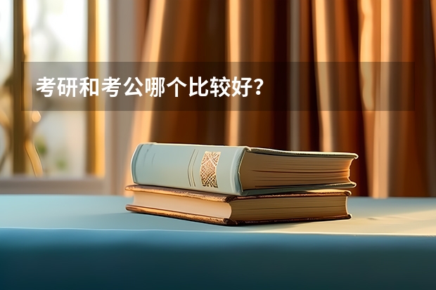 考研和考公哪个比较好？