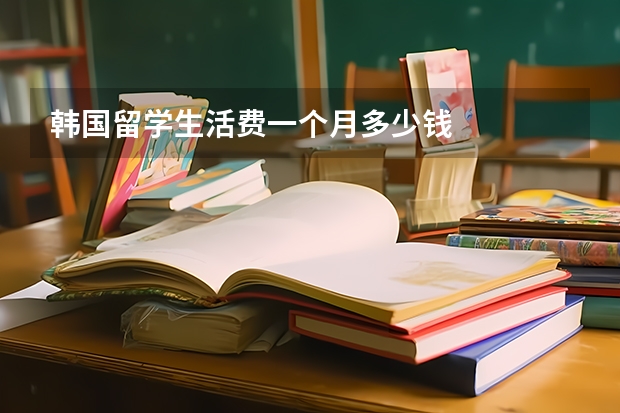 韩国留学生活费一个月多少钱