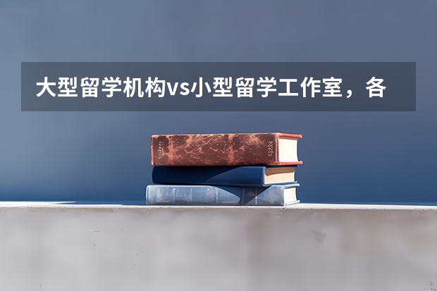 大型留学机构vs小型留学工作室，各有哪些优劣势？