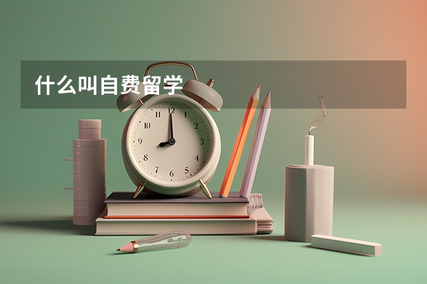 什么叫自费留学