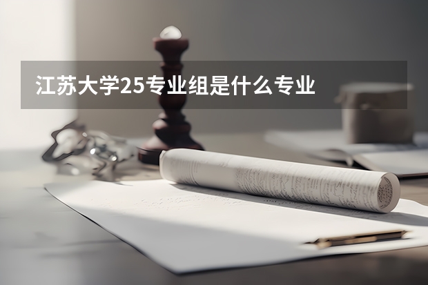 江苏大学25专业组是什么专业