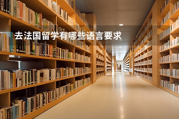 去法国留学有哪些语言要求
