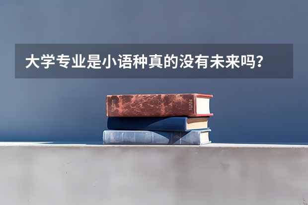 大学专业是小语种真的没有未来吗？