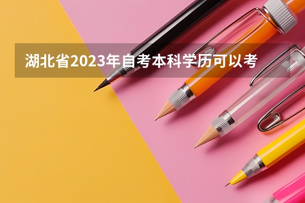 湖北省2023年自考本科学历可以考公考编吗？