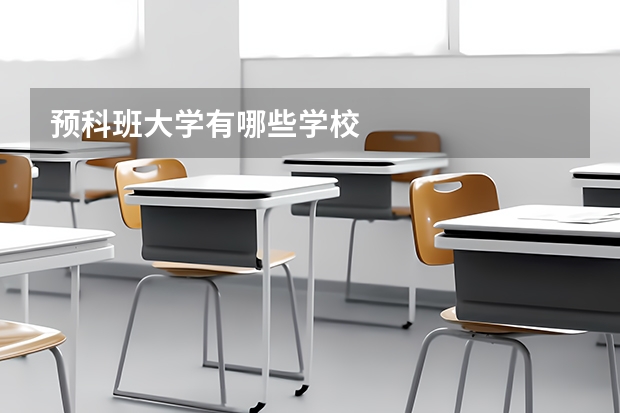 预科班大学有哪些学校