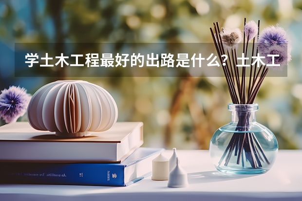 学土木工程最好的出路是什么？土木工程考公务员难吗？