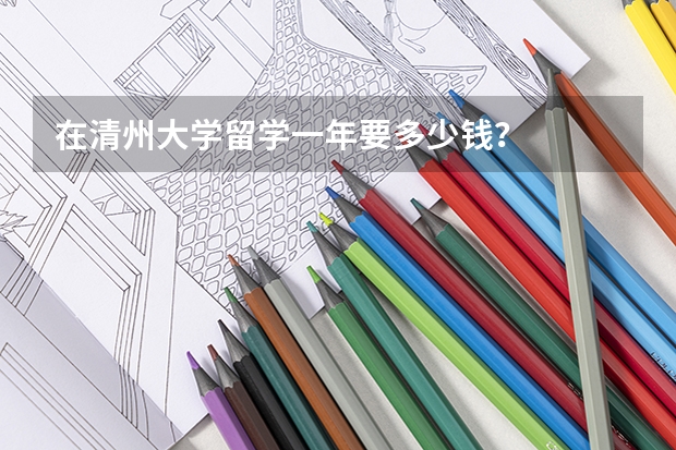 在清州大学留学一年要多少钱?