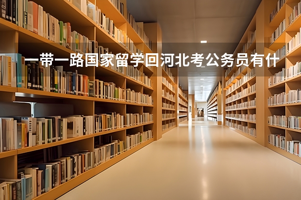 一带一路国家留学回河北考公务员有什么政策