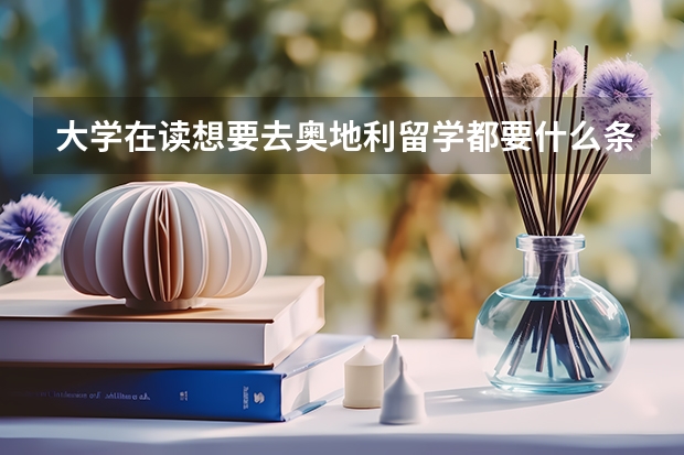 大学在读想要去奥地利留学都要什么条件